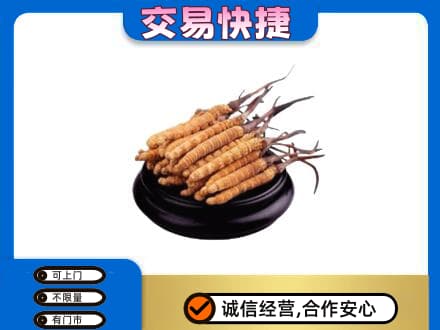 吉安市永新礼品回收散虫草.jpg